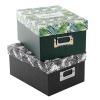 Caja Archivo Goldbuch Tropicana Surtido para 700 fotos 10x15 cm