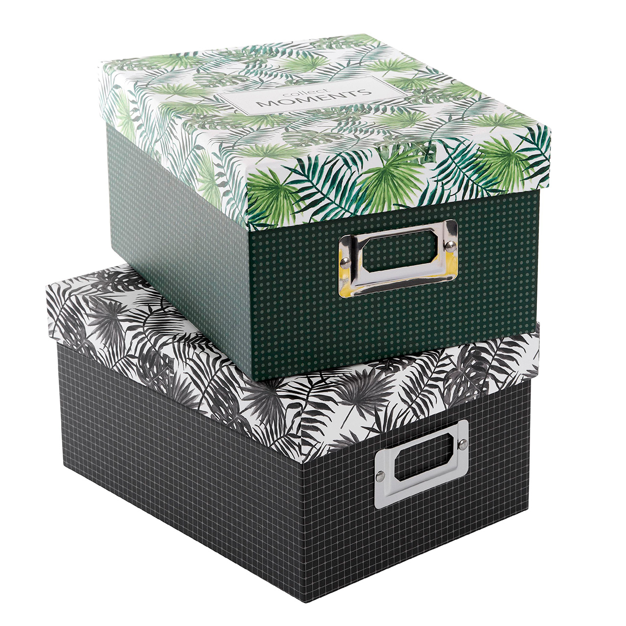 Caja Archivo Goldbuch Tropicana Surtido para 700 fotos 10x15 cm Caja Archivo Goldbuch Tropicana Surtido para 700 fotos 10x15 cm