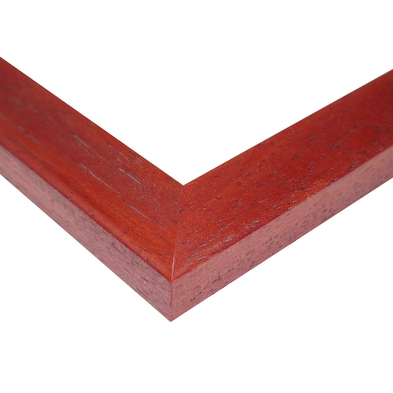 CRZ219869-1 CRZ219869 1