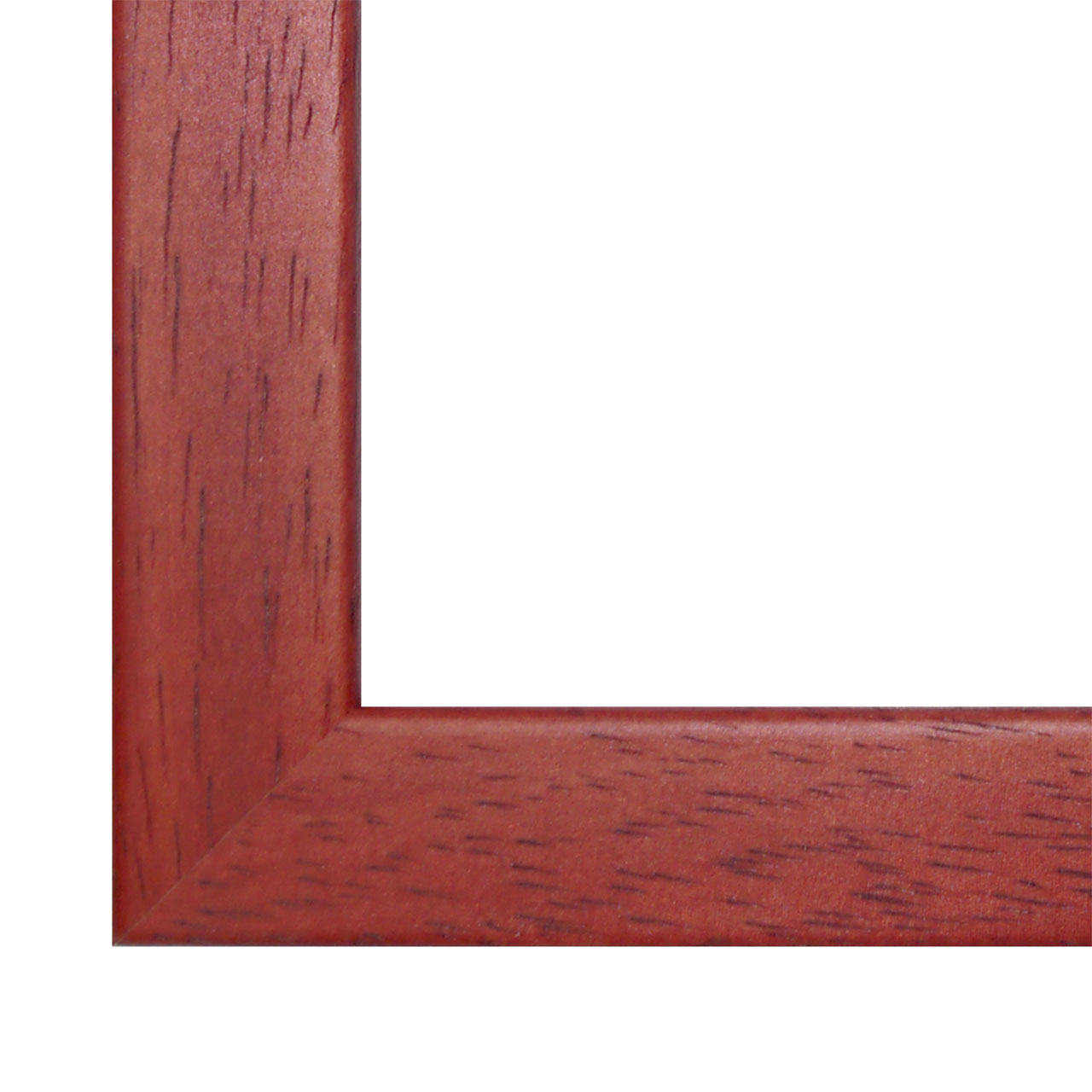 CRZ219869-2 CRZ219869 2