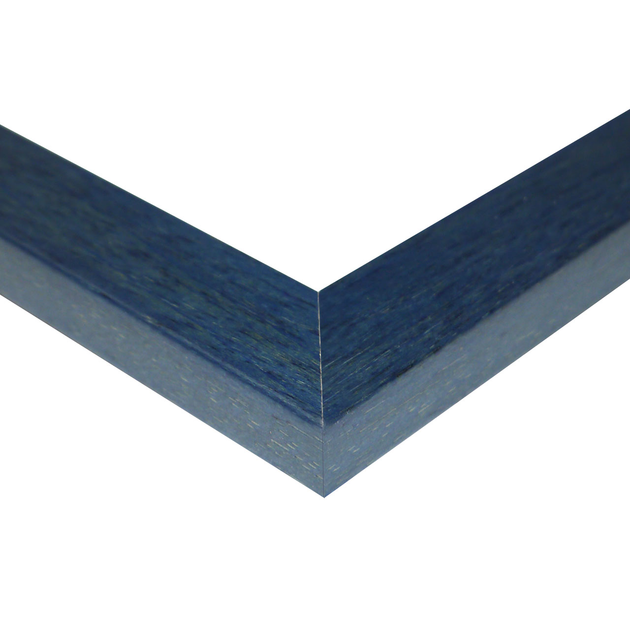 CRZ219931-1 CRZ219931 1