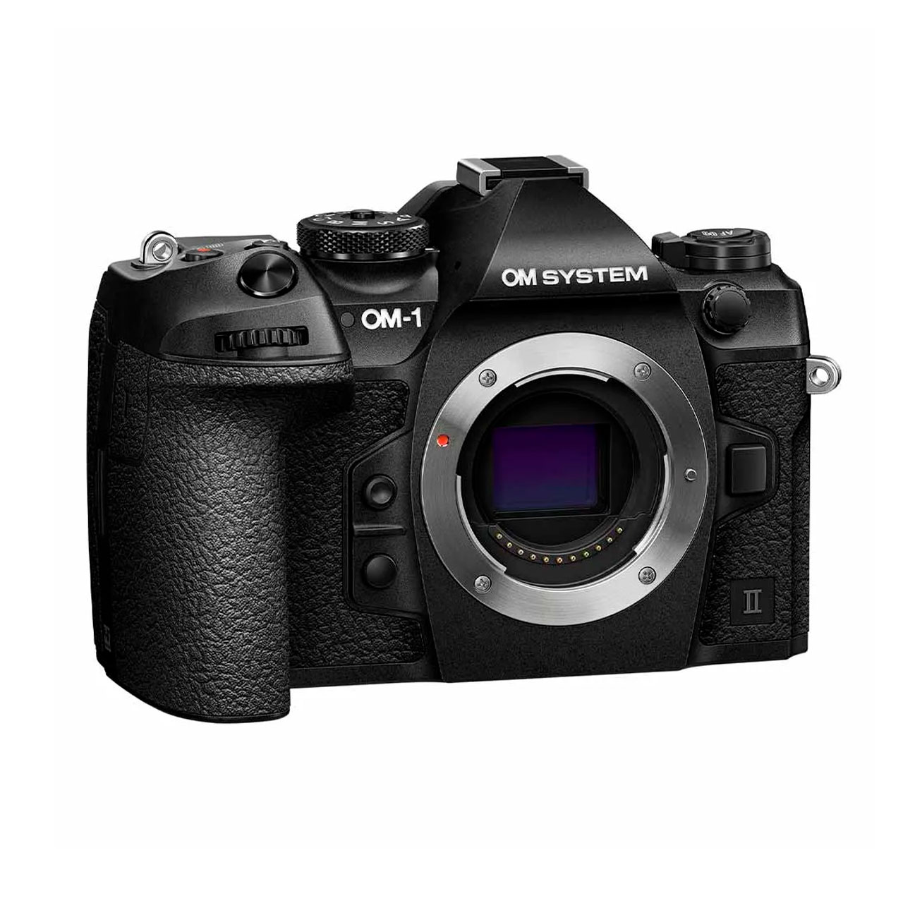 OLY400582-1 OLY400582 1