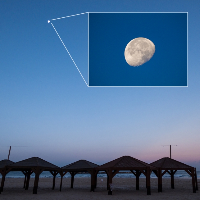 Perspectiva con todos los detalles